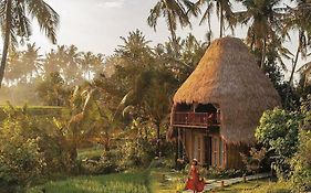 Dd Bamboo Lodge